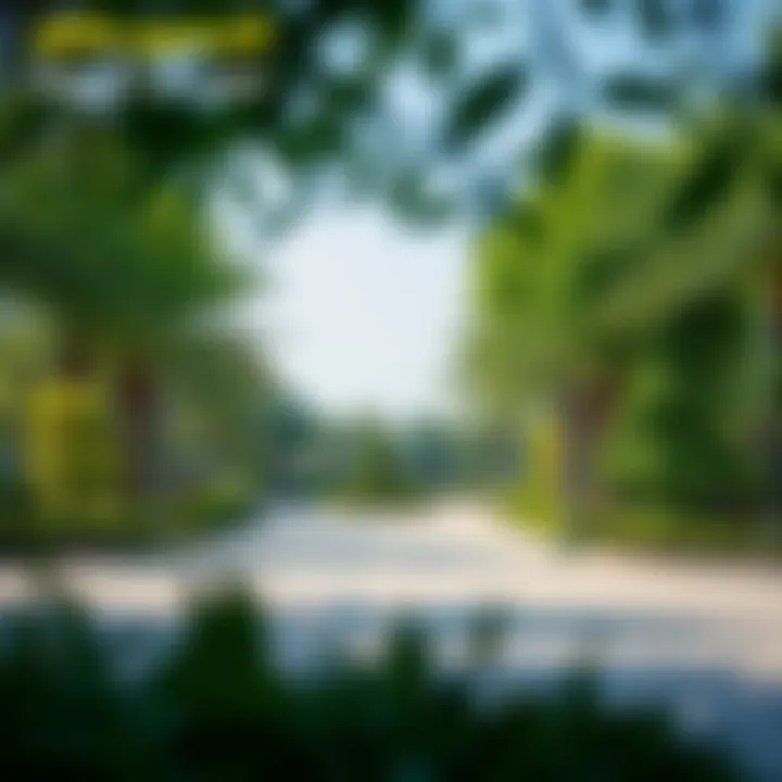 Recreational Spaces in مجمع زايد مزهر Community park and recreational area in مجمع زايد مزهر